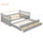 Daybed With Twin Size Trundle And Drawers-109131128