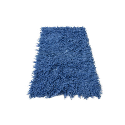 2x4 Phillippi Blue Rug