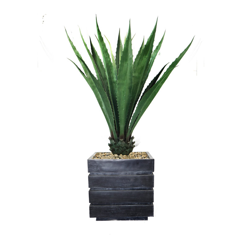 Plante succulente artificielle en pot 43 po Panama, Noir, Vert foncé