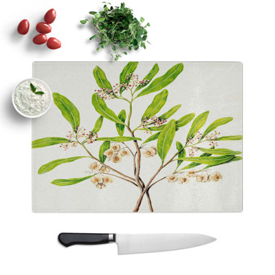 Tempered Glass Akeake Flowers Chopping Board