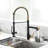 FLG Kitchen Faucet-86175978