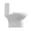 Toilette allongée blanche à double chasse 4 / 6L GPF Patton