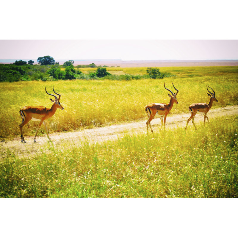 African Plains I by Golie Miamee - Print on Canvas, 81cm H x 122cm W, Wrapped Canvas