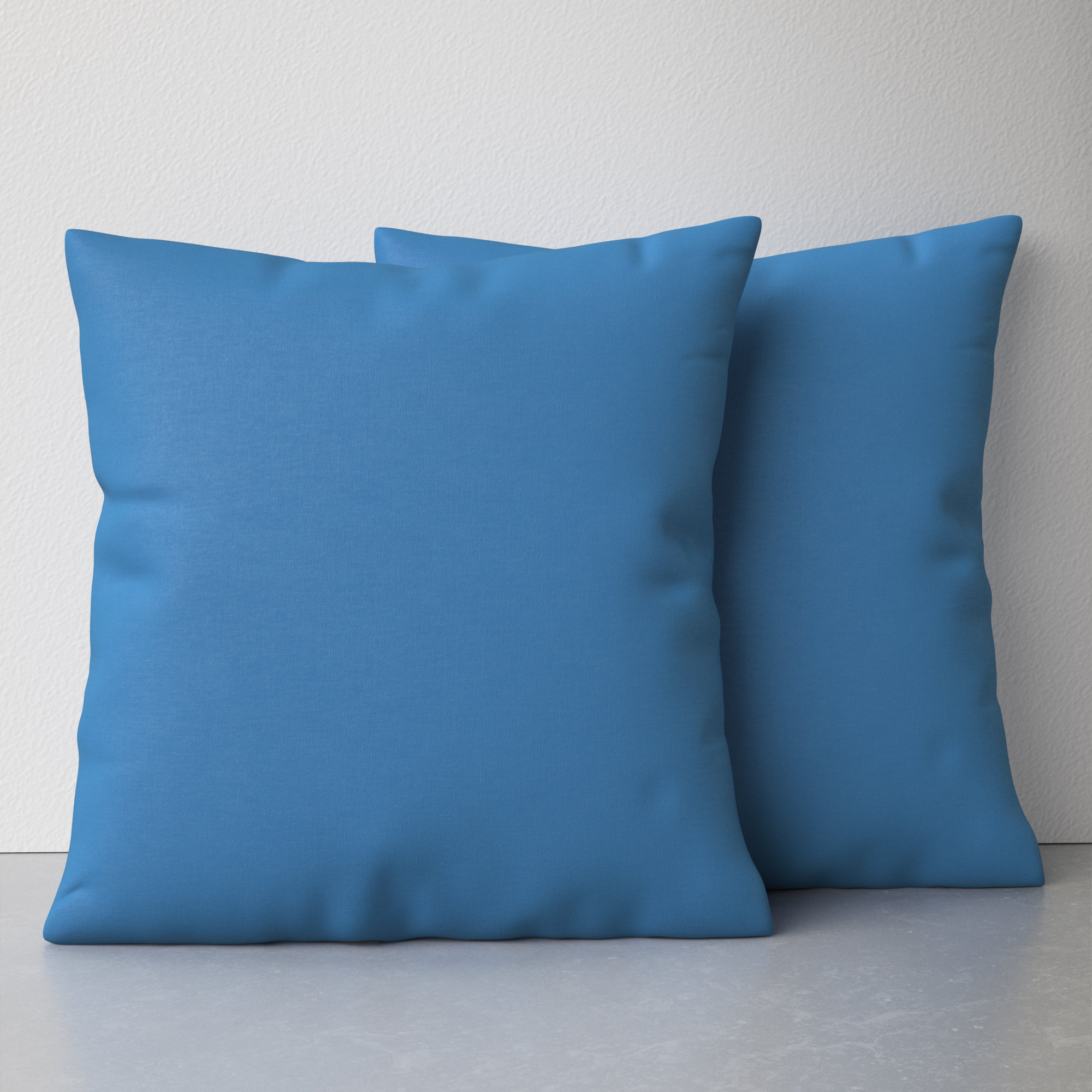 https://assets.wfcdn.com/im/33843249/compr-r85/2310/231003873/ashel-polyester-indooroutdoor-throw-pillow.jpg