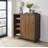 DeJean Shoe Storage Cabinet with Sliding Doors & Adjustable Shelves