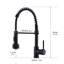 FLG Pull Down Kitchen Faucet
