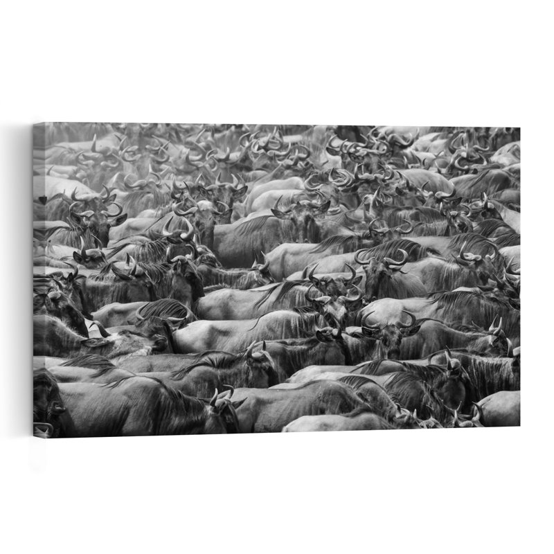 Wildebeest Mass Migration Abstract Contemporary Architecture Wall Art Print 1 Piece Wrapped Canvas Wall Art