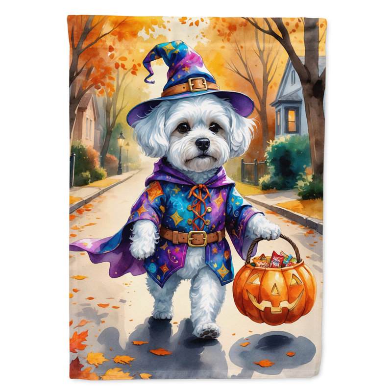 Drapeau de maison Weimaraner, Bichon frisé