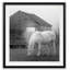 Misty Pasture - reproduction de cadre photo-1507311331