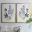 Fern Study I - Toile encadrée de qualité supérieure - prête à être accrochée-799020135-799020445