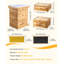 Trousse de démarrage Bee Hive Bee Hive à 40 cadres, bois de sapin enduit de cire d'abeille, 2 boîtes à abeilles profondes et 2 boîtes à abeilles Langstroth, fenêtres en acrylique transparent avec Foundations pour les débutants Pro Beekeepers