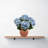Hydrangea Bush-292098870