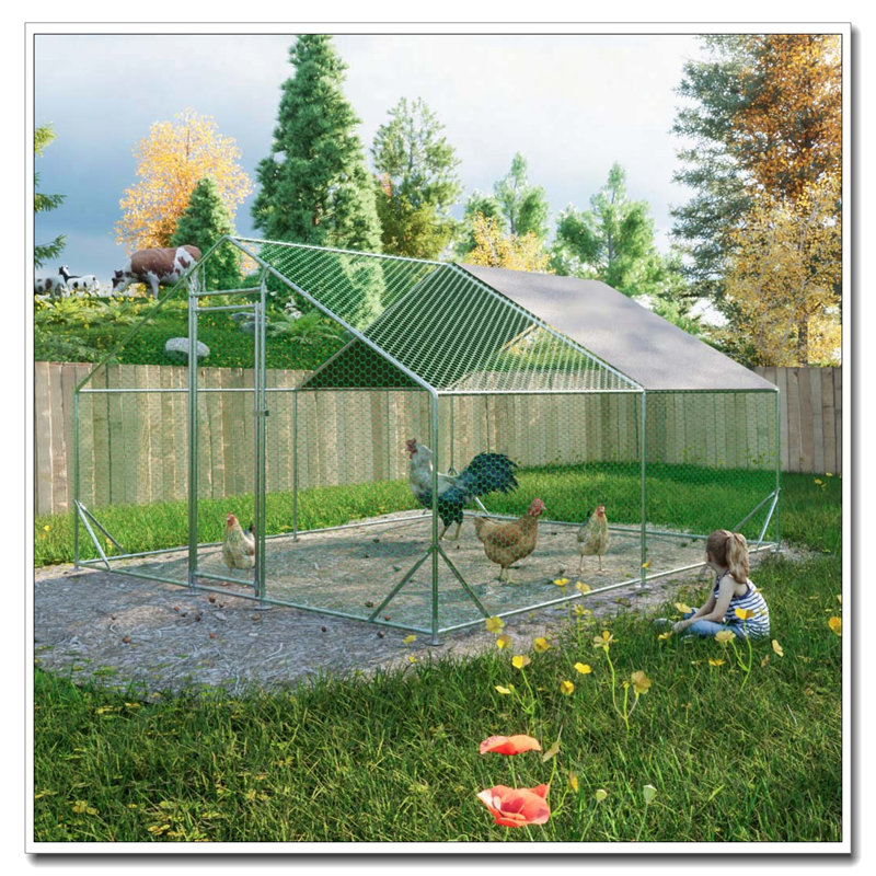 Grand poulailler en métal avec couvercle imperméable, H 76 po x l 156 po x P 120 po