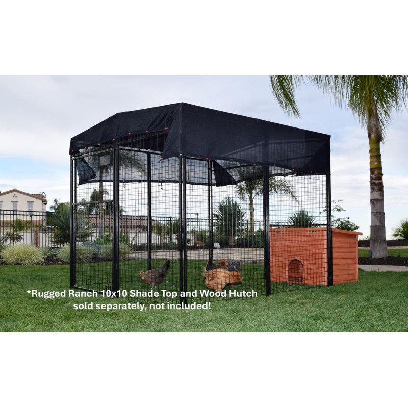 Epsilon 48.8 Square Feet Walk In Chicken Run For Up To 6 Chickens