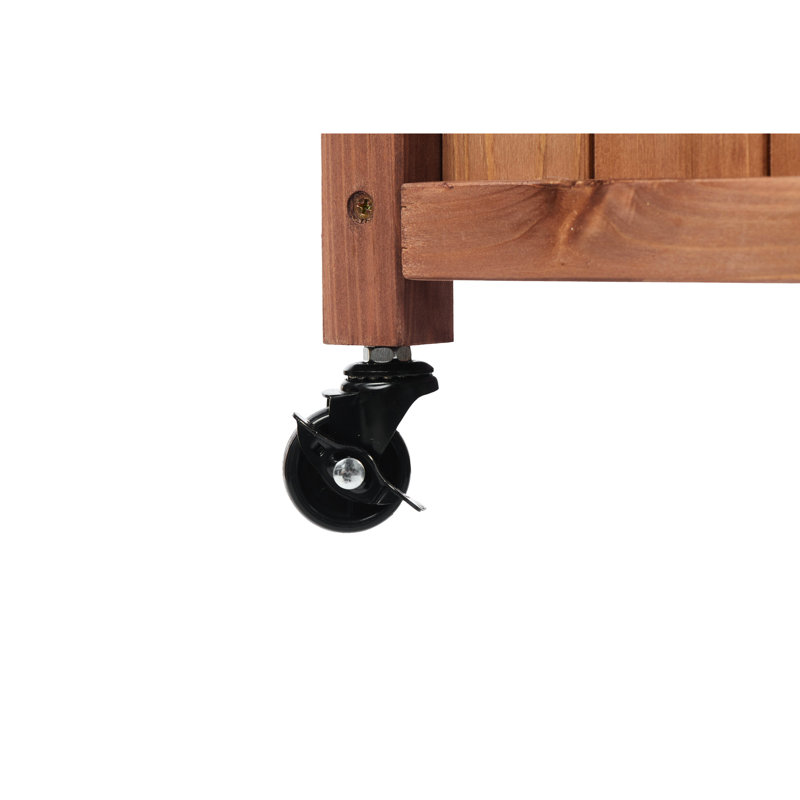 Lit de jardin surélevé avec treillis - paquet de 2 - jardinière en bois pour l'extérieur et support pour plante 30 couches