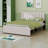 Upholstered Platform Bed With Trundle-1660466551