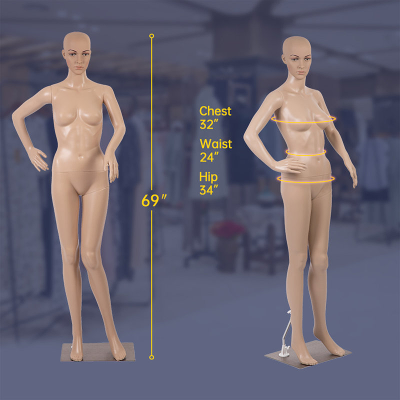 Mannequin Mannequin Mannequin de 69 po pour femme