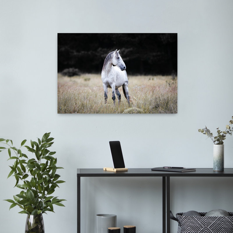 Print, 40.64cm H x 60.96cm W