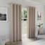 Rodenal Blackout Curtain-519225559-519225562