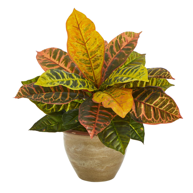15'' Faux Croton Plant in Ceramic Planter