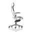 Executive Chair with Headrest