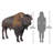 Large Scale Buffalo of the Great Plains Statue