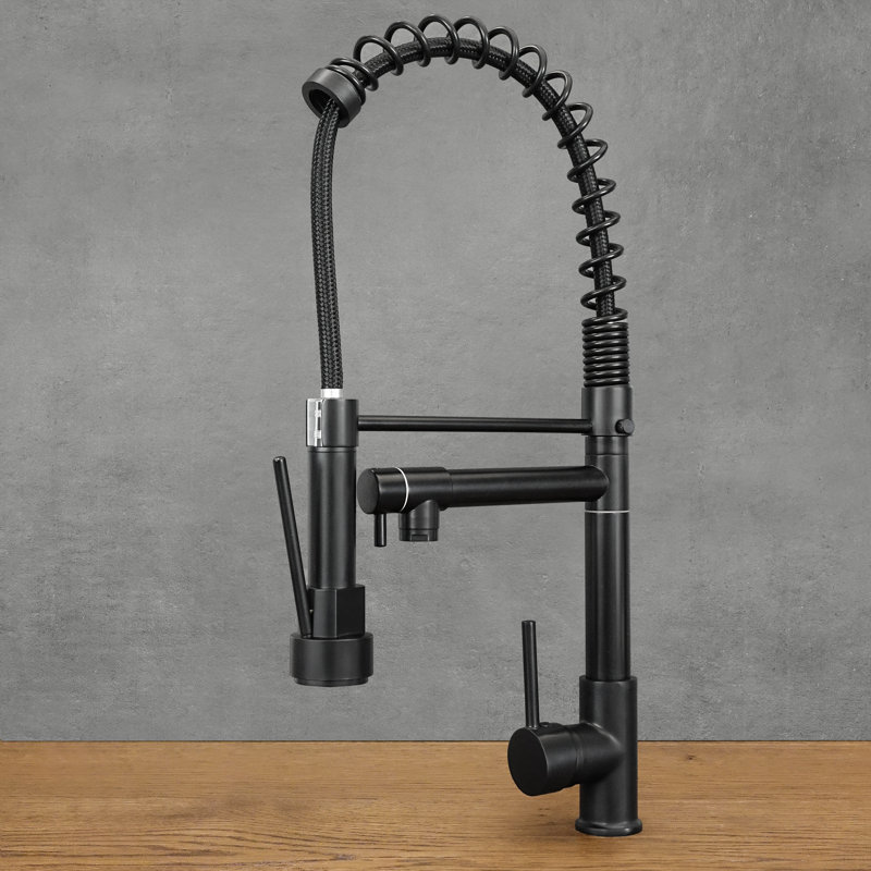 Belfry Kitchen Kitchen Faucet, Black
