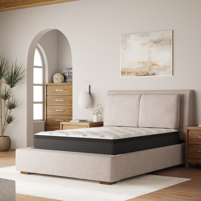 Serena 12'' Plush Hybrid Mattress, Queen