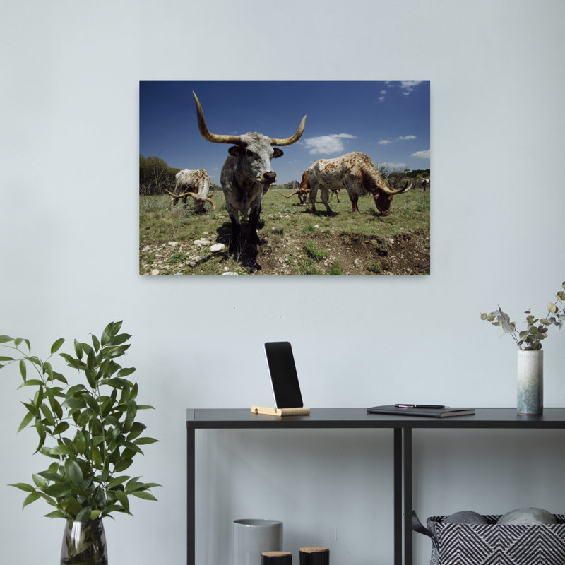 Texas Longhorn Cattle In A Field by Gerald L. French - Wrapped Canvas Print, 40.64 cm H x 60.96 cm W