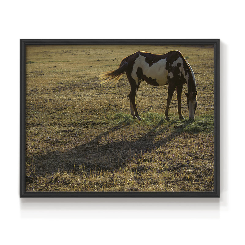 Long Shadow - Imprimé encadré - Restickable, Noir, noir, noir, noir, H 16 po x l 20 po