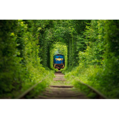 " Train In Tunnel " by Sasharec