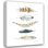 Art sur toile tendu avec la galerie Lark Manor ™ Robinson, Carol, collection Feather (25_17390)