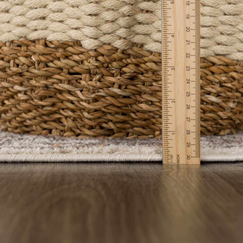 Cyenthia Oriental Machine Woven Polypropylene Area Rug in Brown, Rectangle 6'7" x 9'