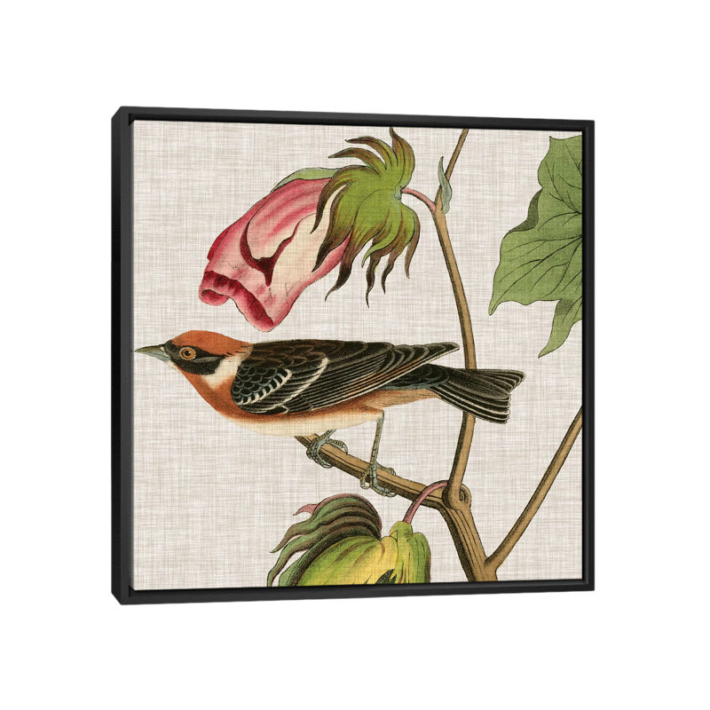 « aviaire crop vi », reproduction d’impression sur toile, H 18 po x l 18 po x P 1,5 po, Toile avec cadre noir, Pas de tapis