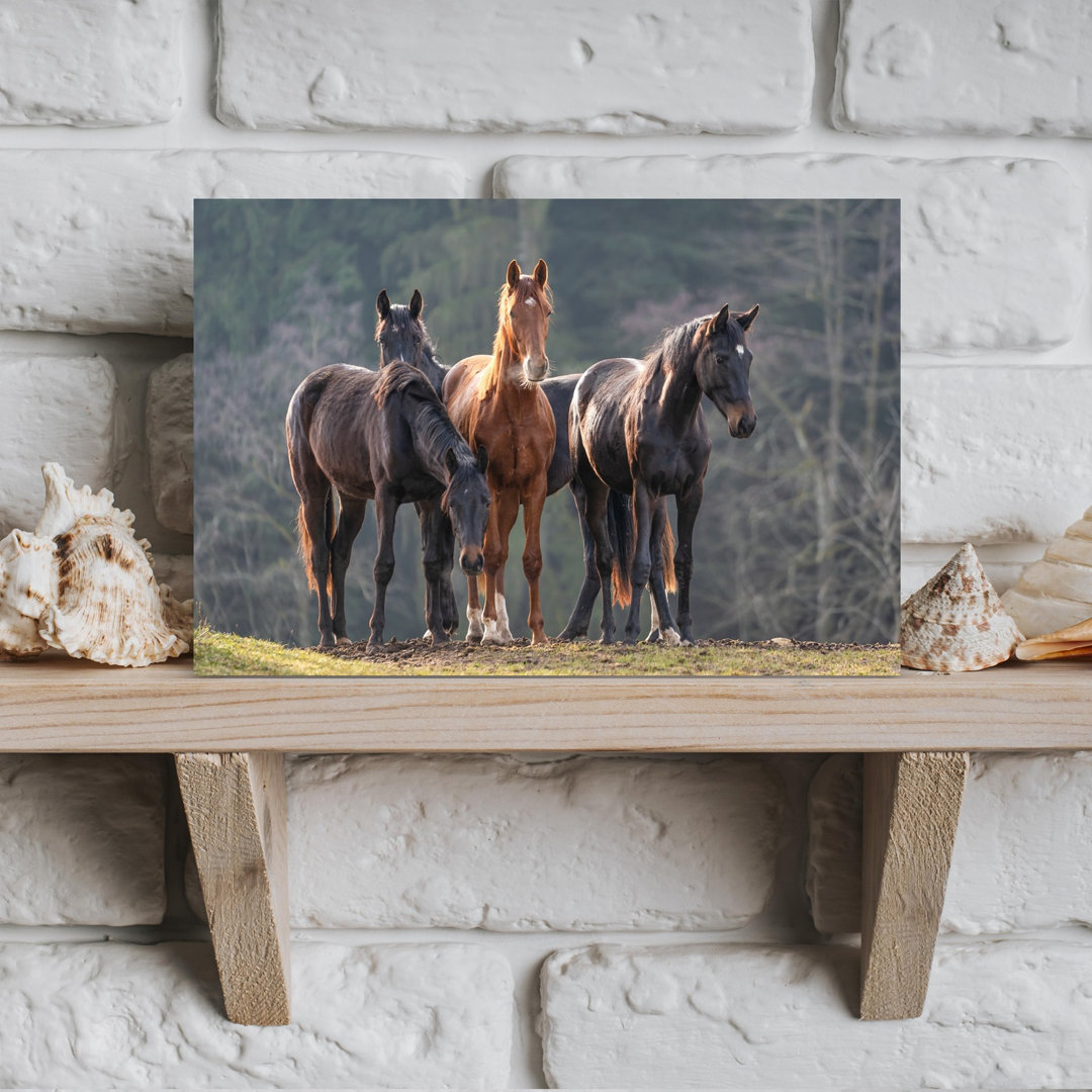 Majestic Horse Herd Peaceful Serene Tranquil Horse Forest Nature Wall Art Print