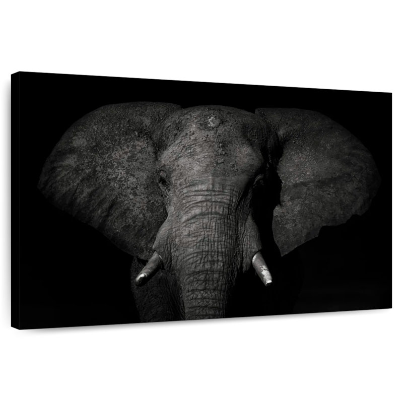 Monochrome Elephant, 32" H x 48" W