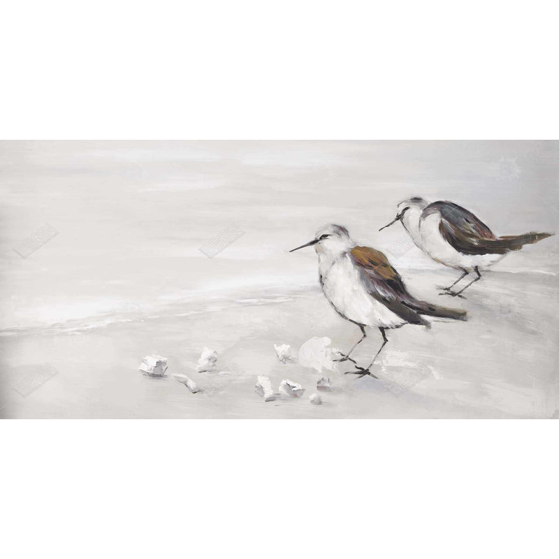 Two sandpipiers birds - 24"x48" Framed canvas