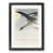 Black Framed