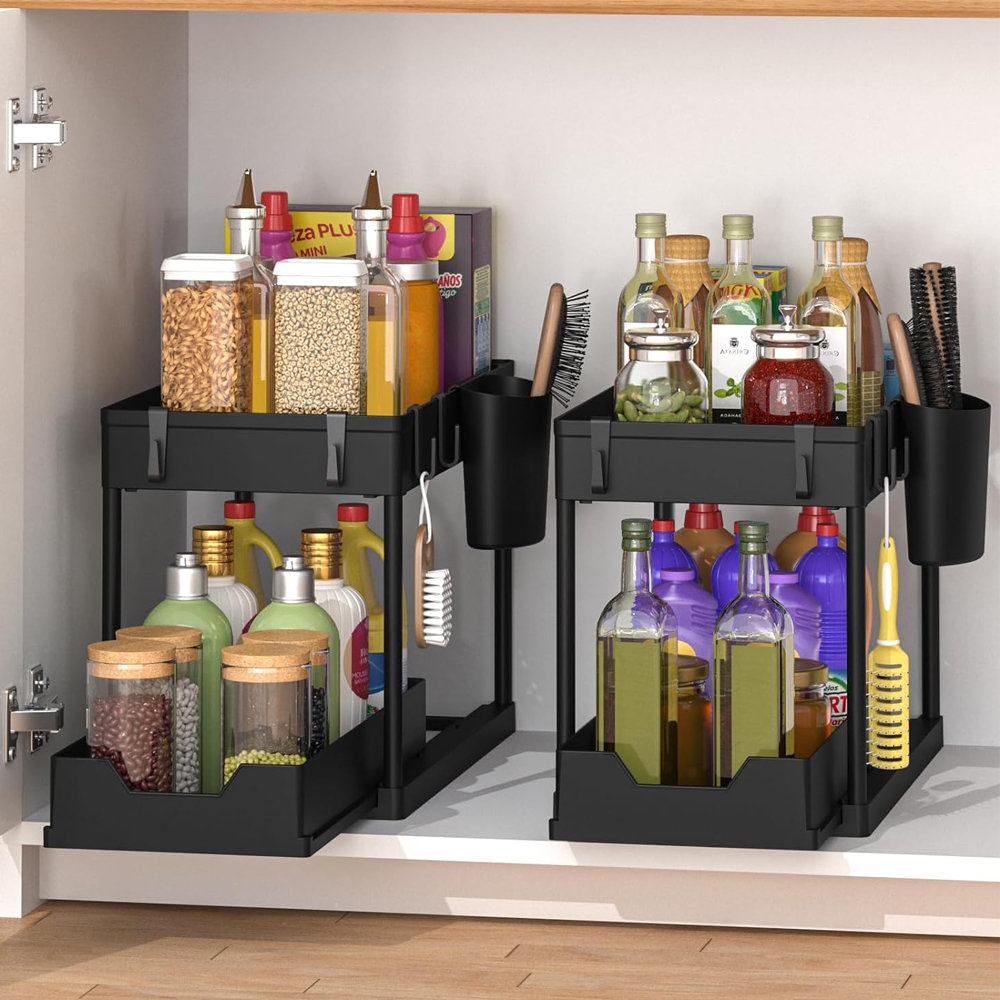 Rebrilliant 2-Piece Kitchen Cabinet Spice Rack Double-Layer Storage Rack  Stackable Expandable & Reviews