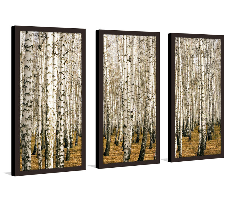 Birch Trees, ensemble de 3 reproductions de photos sur acrylique, H 25,5 po x l 40,5 po x P 1 po