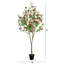 7 pi. Cornouiller artificiel