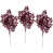 Rose vif