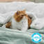 Bedsure Soft Sherpa Fleece Throw Blanket-1928280628-1928524793
