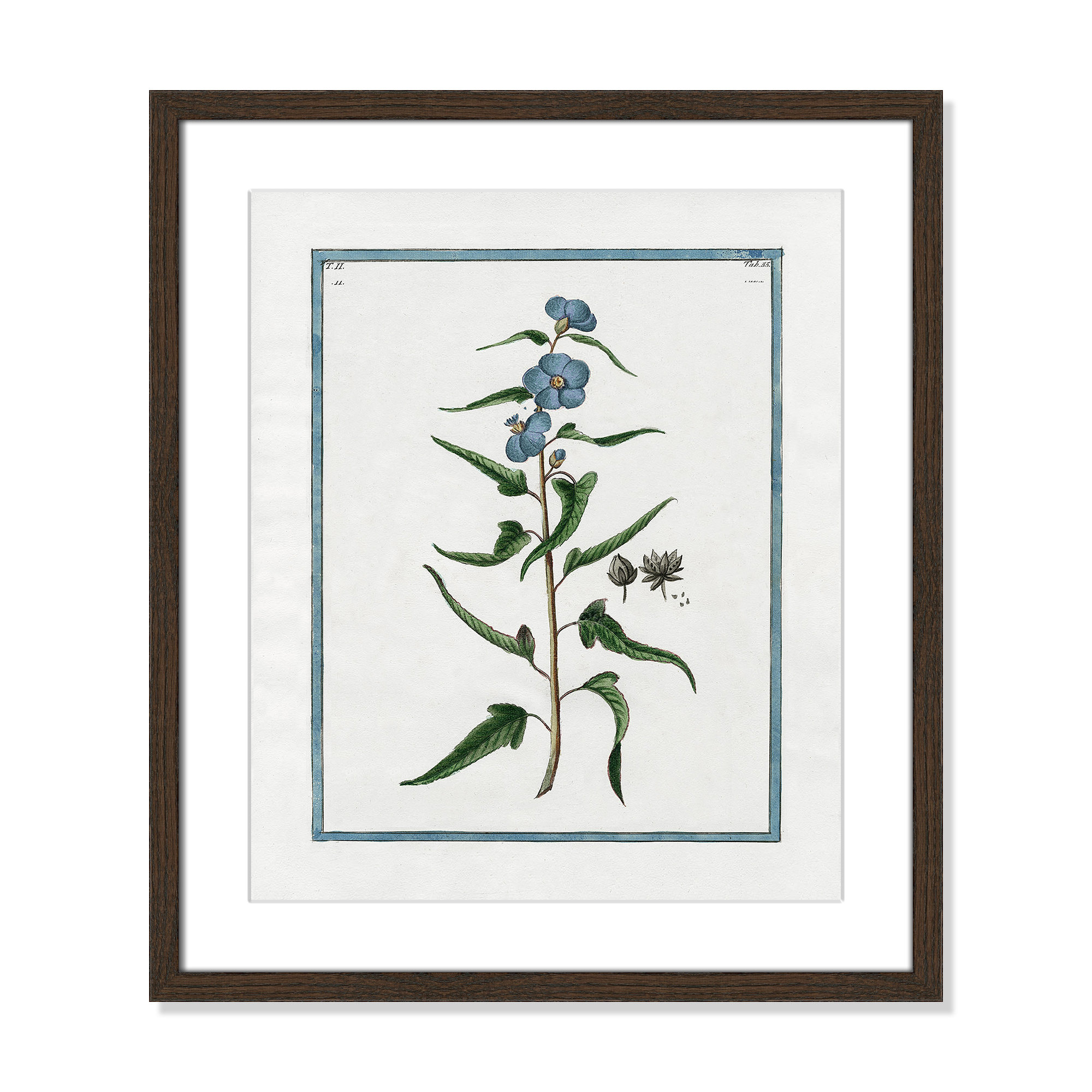 Shabby Elegance Botanical I - Framed Art Full Bleed, 16" W x 19" H, Walnut Framed