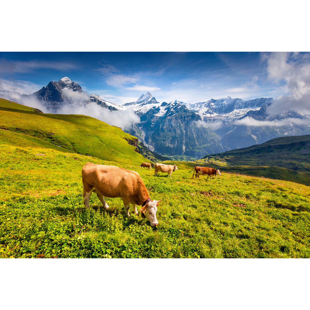 Klein Wellhorn Mountains von Andrew_Mayovskyy - Wrapped Canvas Photograph