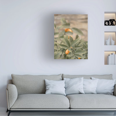 Art sur toile, bolologien, vie romaine
