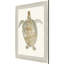 Neutral Turtle I