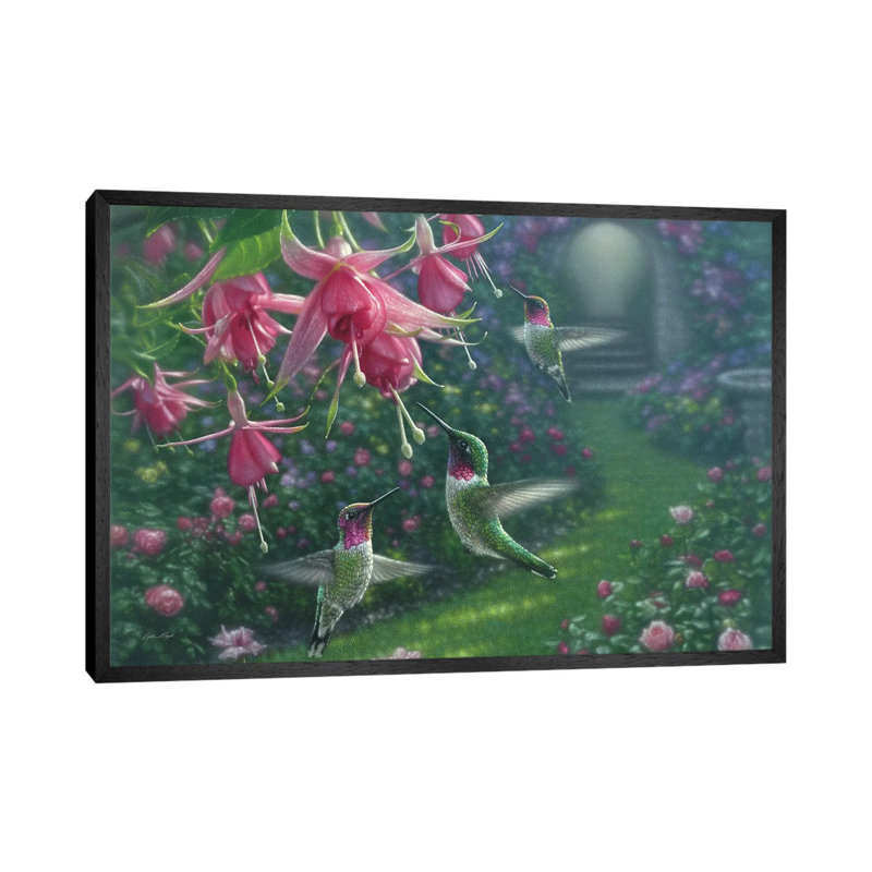 Hummingbird Haven by Collin Bogle - Print on Canvas, Black Framed Canvas, 152.5 cm H x 101.5 cm W x 3.175 cm D