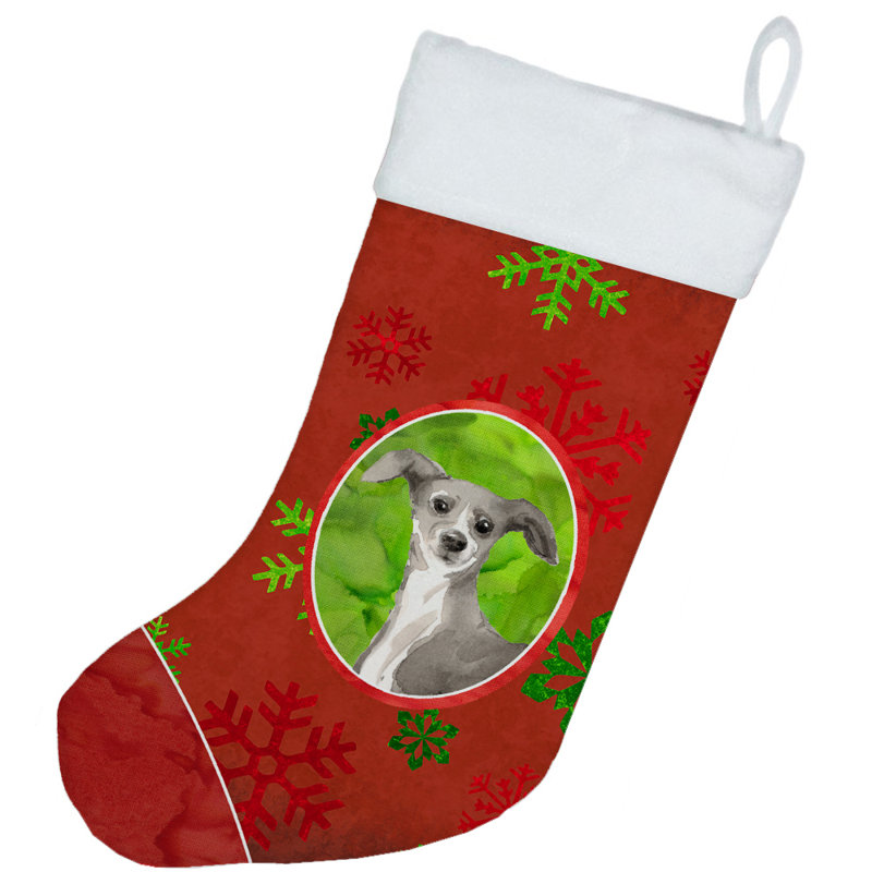 Chaussette de Noël, Lévrier italien