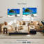 Divi Divi arbre Aruba Petites Antilles-720858363